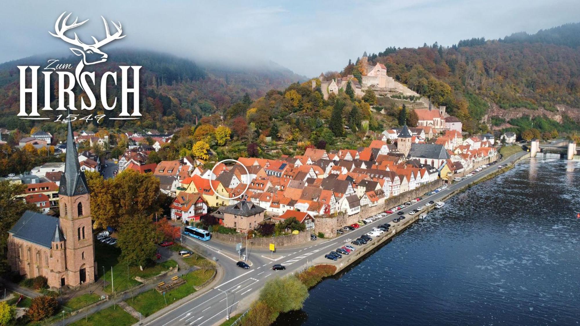 Appartement Schlossberg, Gasthaus Hirsch Хиршхорн Экстерьер фото